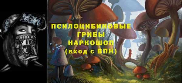 ECSTASY Пестово