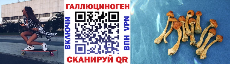 Галлюциногенные грибы прущие грибы  Купить закладки  Стерлитамак 